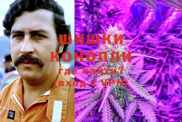 шишки Балахна