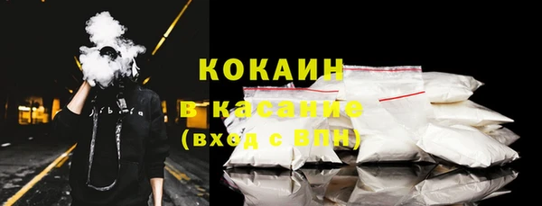 гидра Аркадак