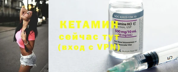 гидра Аркадак