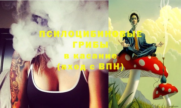 шишки Балахна