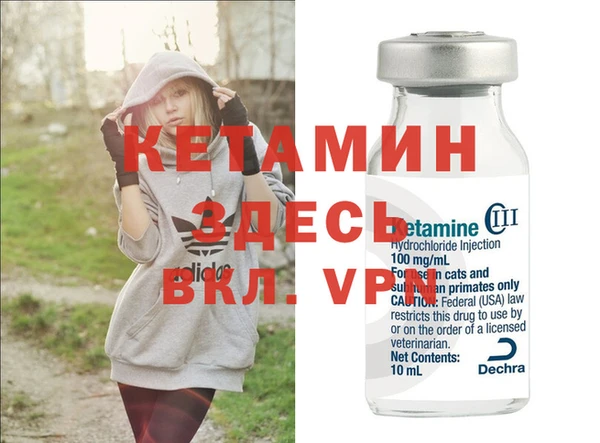 гидра Аркадак