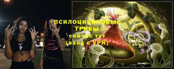 шишки Балахна