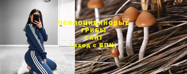 дживик Арсеньев