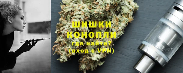 дживик Арсеньев