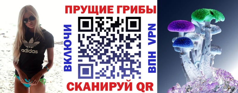 Галлюциногенные грибы Psilocybe где купить наркоту Тайга